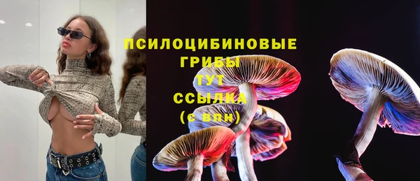 прущий лед Абаза