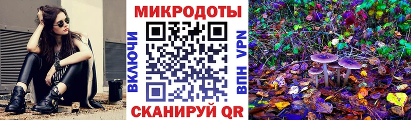 Галлюциногенные грибы Psilocybe  Костомукша 